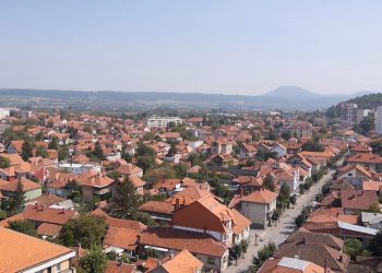 UMIRANJE ZAJEČARA (VIDEO)