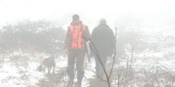 Lov na divlju svinju u Bačevici kod Boljevca (VIDEO)