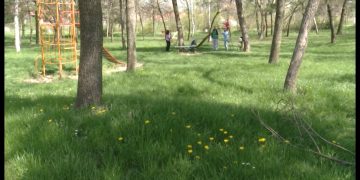 Dan zaštite prirode važan i Zaječarcima koji smatraju da možemo bolje čuvati svoju okolinu (VIDEO)