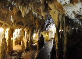 U Rajkovoj pećini pronađene kosti i delovi lobanja