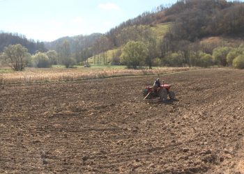 Ratarima kiša preko potrebna (VIDEO)