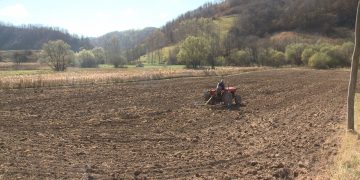 Ratarima kiša preko potrebna (VIDEO)