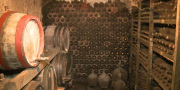 Vina iz Vinarije Jović i na inostranim trpezama (VIDEO)