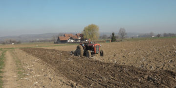 Poslovi na njivi ne mogu da čekaju (VIDEO)