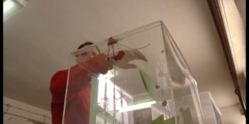 Lokalni izbori i u Sokobanji