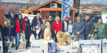 Avganistanski hrt iz Poljske najlepši pas izložbe CACIB 2022. u Zaječaru