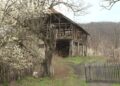 Misterija slučaja Danke Ilić godinu dana kasnije (VIDEO)