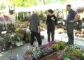 Mini odmor u Sokobanji (VIDEO)