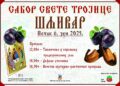 “Sabor Svete Trojice” 6. juna u Šljivaru