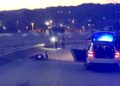 Poginuo motociklista kod Kopaoničkog mosta