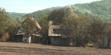 Borba sa vatrenom stihijom u okolini Bora (VIDEO)