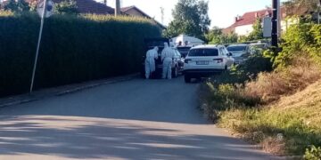 Mladić iz Knjaževca koji je prošlog leta ubio oca, dedu i babu, osuđen prvostepeno na 20 godina zatvora