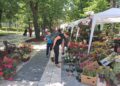 Tradicionalni Sajam cveća u Sokobanji