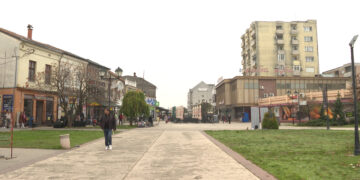 Za dve nedelje lokalni izbori u Negotinu (VIDEO)