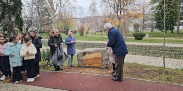 Park mira u Sokobanji