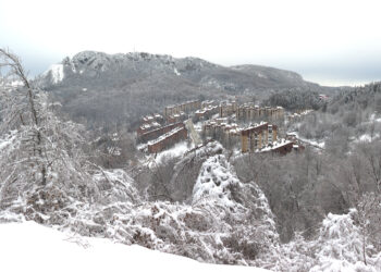Potresno svedočenje naše novinarke Ane Vojvodić o situaciji u Majdanpeku (VIDEO)