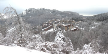 U Majdanpek stigli agregati, deo grada biće priključen na trafo stanicu Ziđina (VIDEO)