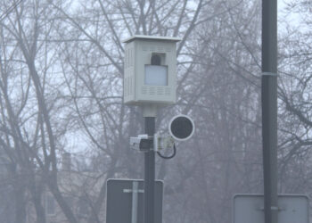 Bor pod video-nadzorom  (VIDEO)