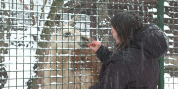 Zoološki vrt u Boru – atrakcija za posetioce i zimi (VIDEO)