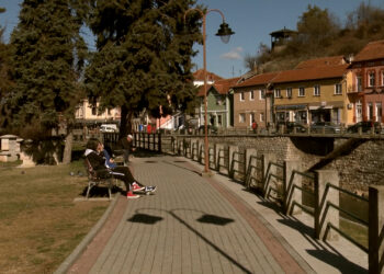 Izborni dan u Timočkoj Krajini na ZA MEDIA portalu (BLOG+FOTO+VIDEO)