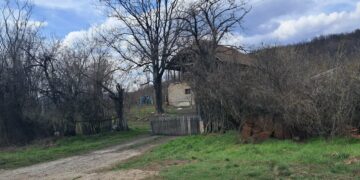 Slučaj Danke Ilić dve godine kasnije (VIDEO)