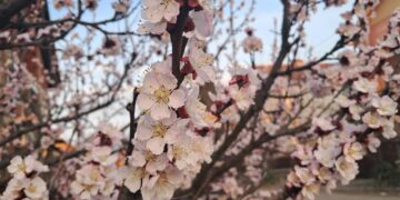 Baba Marta i njena ćud!