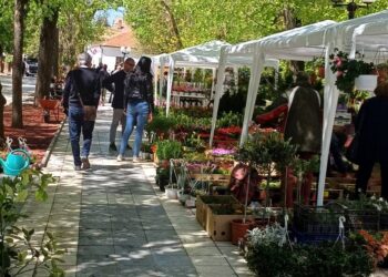 Cvetna oaza u Sokobanji