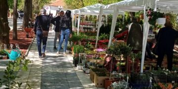 Cvetna oaza u Sokobanji