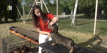 Iva Petrović Đorđević i njeni šampioni (VIDEO)