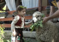 Lepota i autentičnost običaja Timočke Krajine (VIDEO)