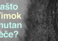Zašto Timok mutan teče? (VIDEO)
