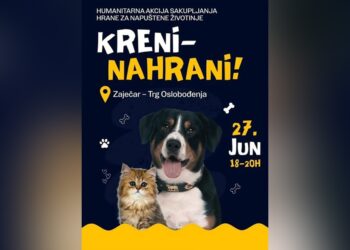 “Zaječarci u blokadi” organizuju humanitarnu akciju prikupljanja hrane za napuštene životinje 27. juna