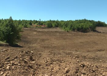 Kompaniji “Serbia Zijin Mining” naložena hitna obustava krčenja šuma na Malkoj Golaji kod Zaječara