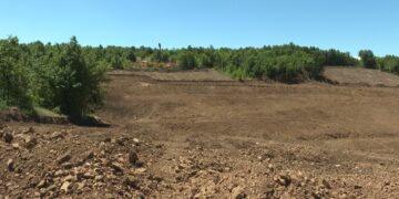 Kompaniji “Serbia Zijin Mining” naložena hitna obustava krčenja šuma na Malkoj Golaji kod Zaječara