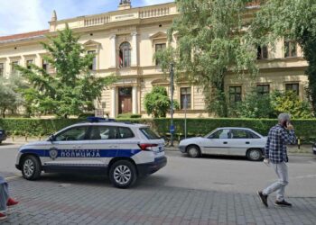 Dojave o bombama u zaječarskim školama (VIDEO)