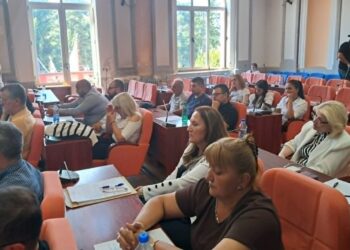 Nije usvojena Deklaracija o zabrani geoloških istraživanja, iskopavanja i rudarenja koju je predložila zaječarska opozicija