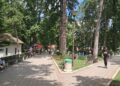 Bazar malih proizvođača na sokobanjskoj promenadi