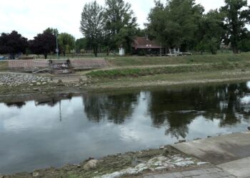 Uklonjen drveni pešački most na Popovoj plaži u Zaječaru zbog sanacije (VIDEO)