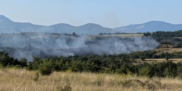 Požar na potesu Čukaru Peki – Malka Golaja