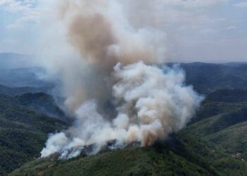 Helikopter i vatrogasci iz više gradova pomažu u gašenju požara na istoku Srbije (VIDEO)