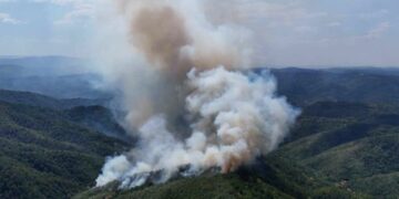 Helikopter i vatrogasci iz više gradova pomažu u gašenju požara na istoku Srbije (VIDEO)