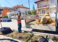 Gradu Zaječaru 2,28 miliona dinara za ozelenjavanje rekonstruisanih ulica