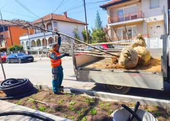 Gradu Zaječaru 2,28 miliona dinara za ozelenjavanje rekonstruisanih ulica