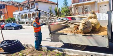 Gradu Zaječaru 2,28 miliona dinara za ozelenjavanje rekonstruisanih ulica