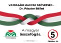 RIK proglasio listu “Savez vojvođanskih Mađara – dr Balint Pastor”