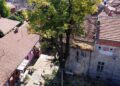 Opasna profesija koja čuva bezbednost građana – arboristi (VIDEO)