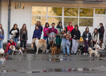 Originalna ideja za pomoć životinjama – humanitarni defile pasa