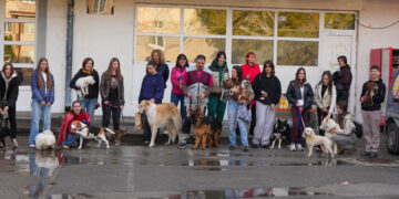 Originalna ideja za pomoć životinjama – humanitarni defile pasa