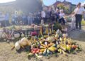 U Nikoličevu održana 16. TIKVIJADA